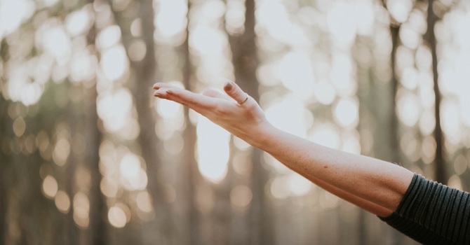 What is Acupuncture? image