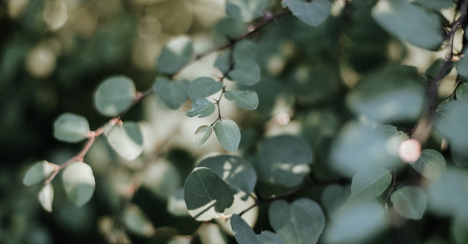 What is Acupuncture?