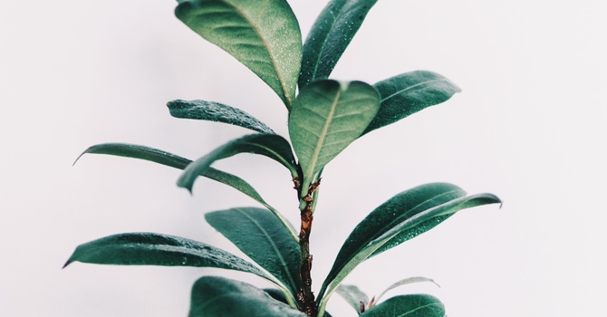 Ice Or Heat, Which Is Better When You're Hurt? image