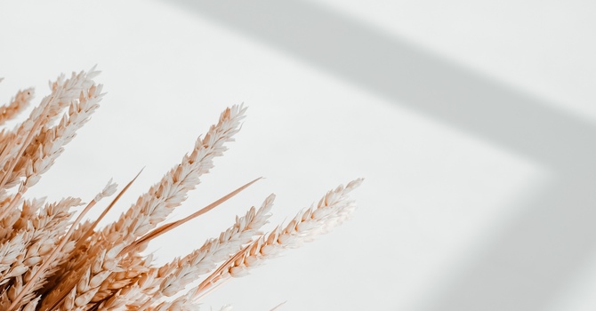 What to Expect at your First Chiropractic Visit image